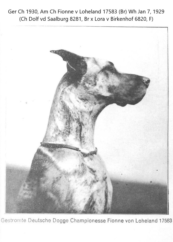 Fionne von Loheland